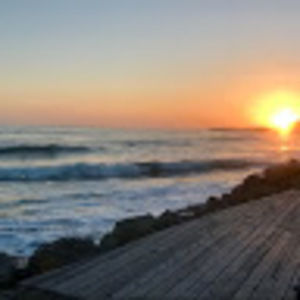 Meet your Posher, Audrey